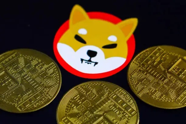 Shiba Inu Breakout Incoming? Long-Term Holders Up 783%, SHIB Burn Rate Soars 1,784%